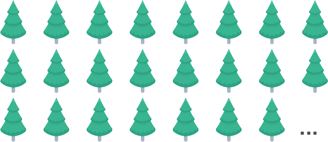 1169万本のスギの木